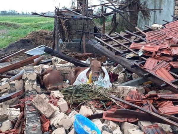 ताऊ-ते' से गिर-सोमनाथ जिले में कच्चे घरों के साथ फसलों को भी भारी नुकसान