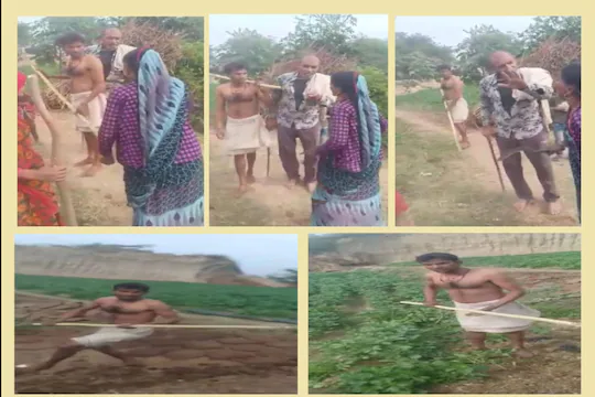 वीडियो वायरल, राजस्थान: फसल को लेकर विवाद, युवक ने सरेआम चाची को डंडों से पीटा